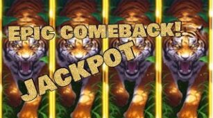 Legacy Of The Tiger max win video 1